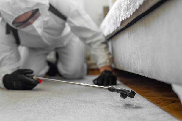 Professional Termite Control technician working in Sterling, KS