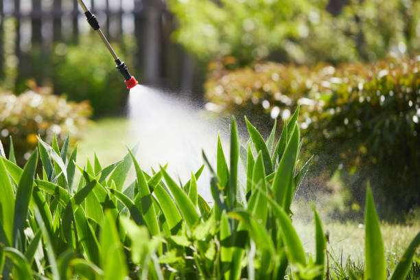 24/7 Emergency Termite Control experts in Sterling, KS